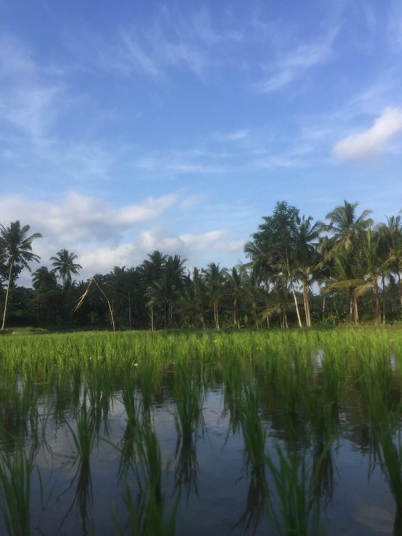 Umah Nik Kepitu Appartement Payangan Buitenkant foto
